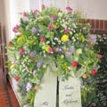 Florist, Floristik und Blumenladen für Beerdigung, Trauerfeier und Bestattung in Lindau (Bodensee), Wasserburg (Bodensee), Nonnenhorn, Kressbronn, Langenargen, Lochau und Bregenz 15